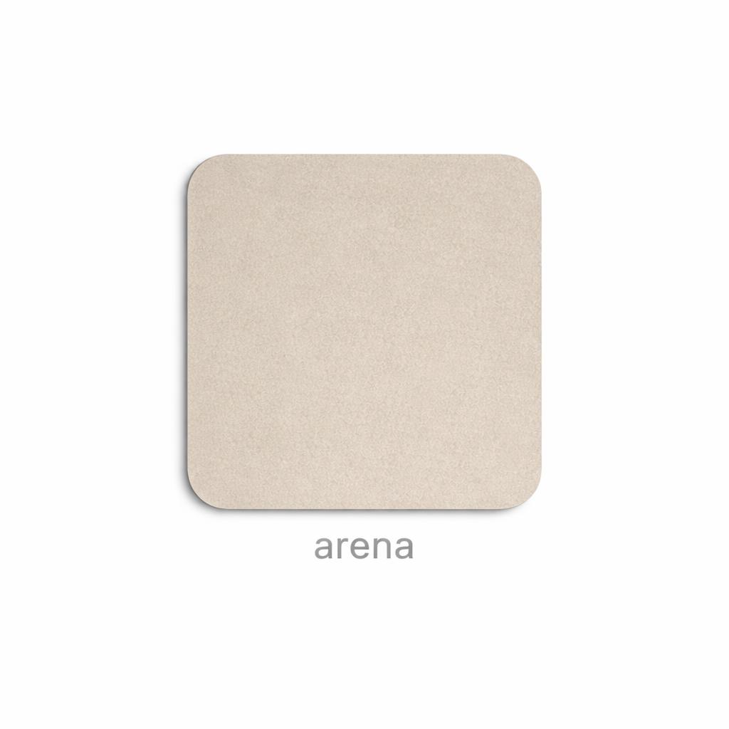ARENA