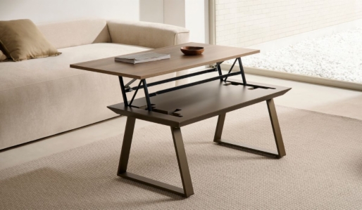 Miniatura 1 del producto AQUA - Mesa Elevable